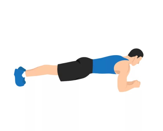 Planks